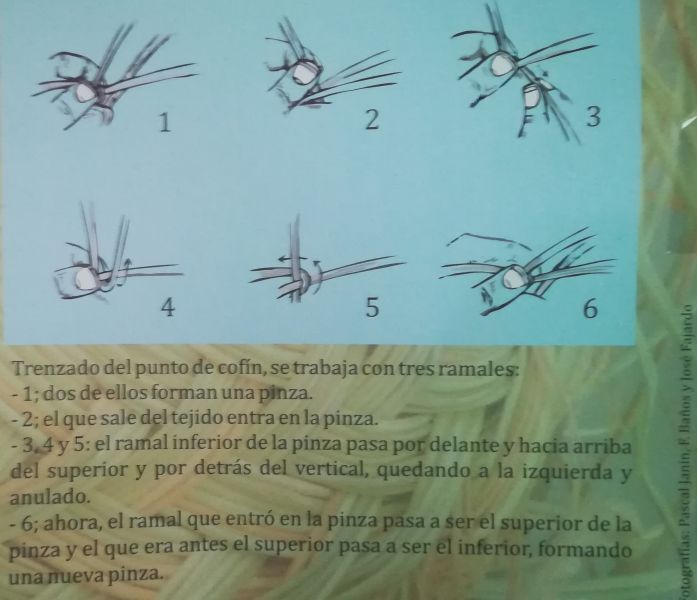 Archivo:Pasos.jpg