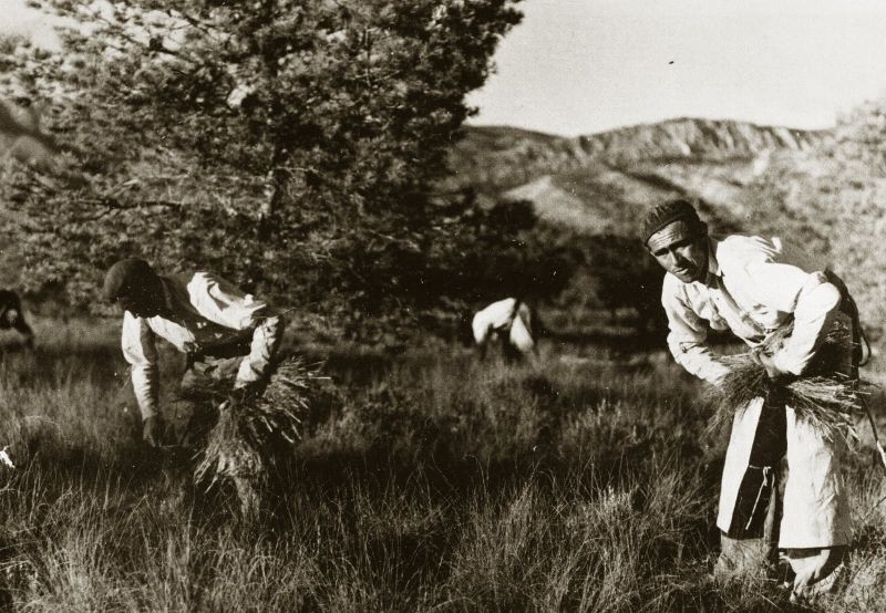 Archivo:Cogida.jpg