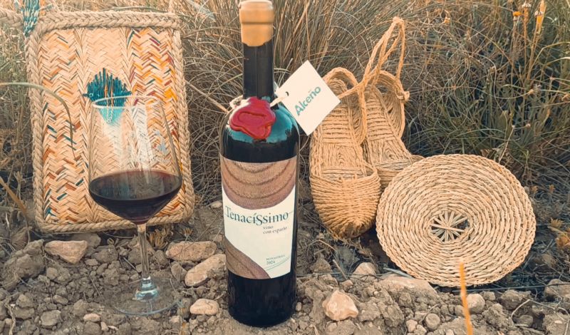 Archivo:"Tenacíssimo".Vino Macerado con Esparto. Proyecto compartido por Juan Miguel Benítez (Enólogo de Bodegas Alceño) y Jesús Ortega María (Artesano del Esparto),Jumilla (Murcia)..jpg